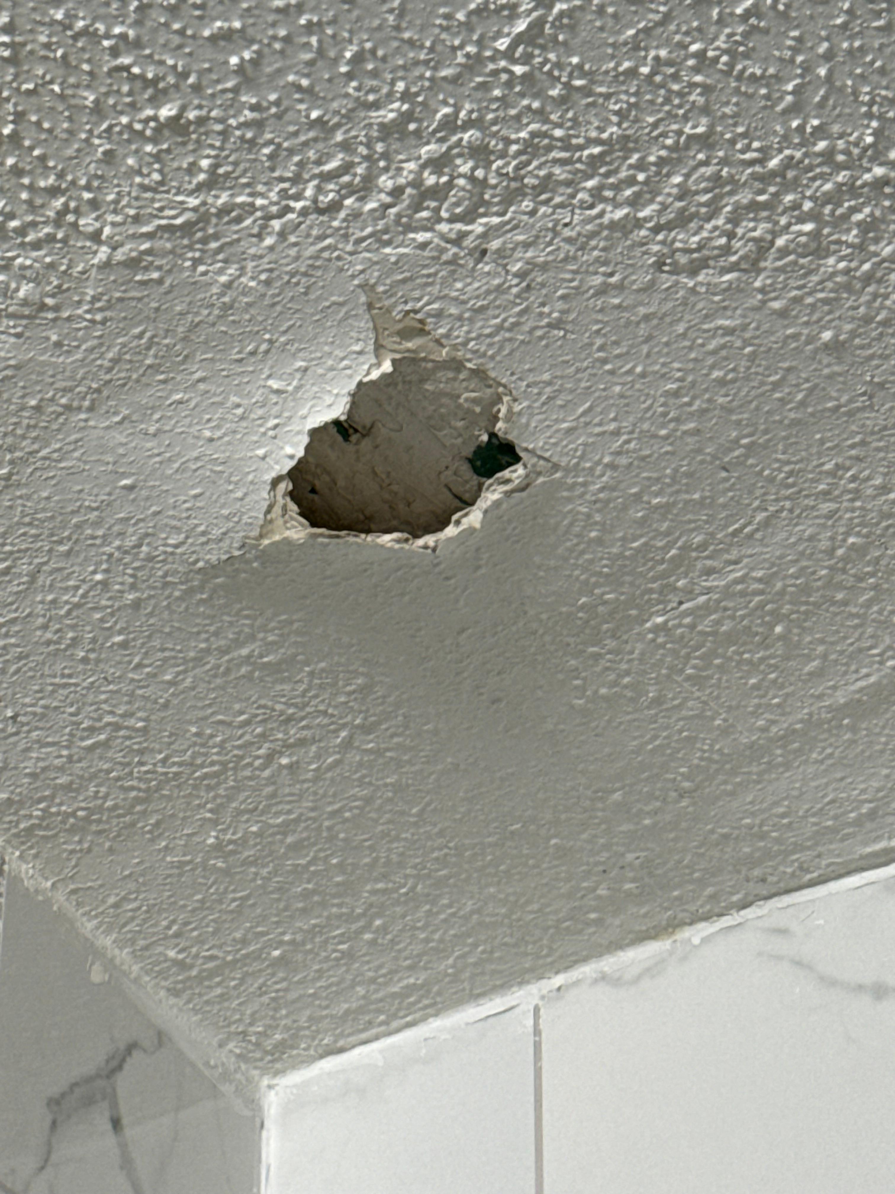 Bathroom ceiling collapsed 