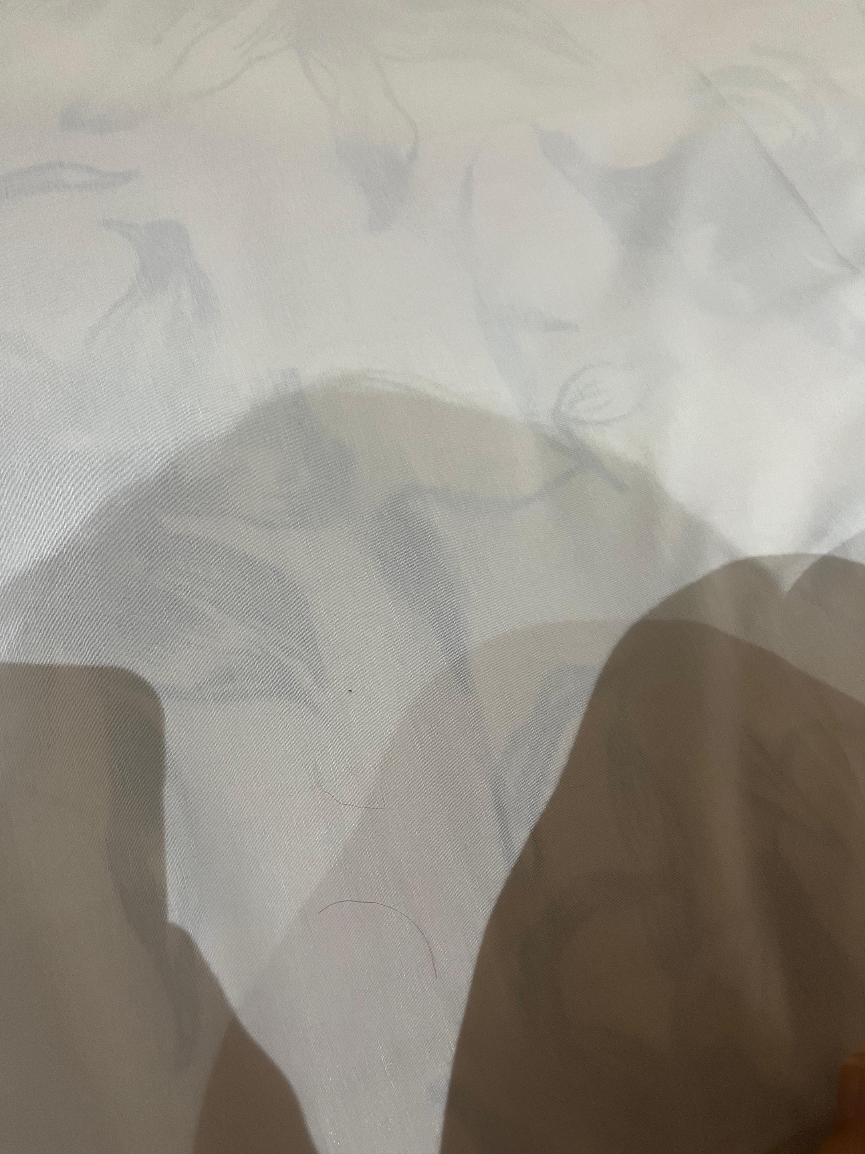 Fios de cabelo no lençol