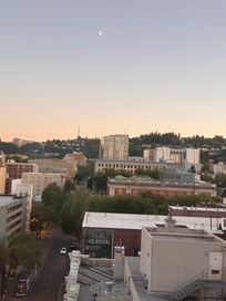 View out window