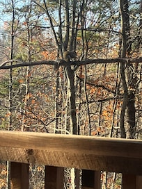 Scenes from the back porch is beautiful! The internal pictures on Vrbo is correct!