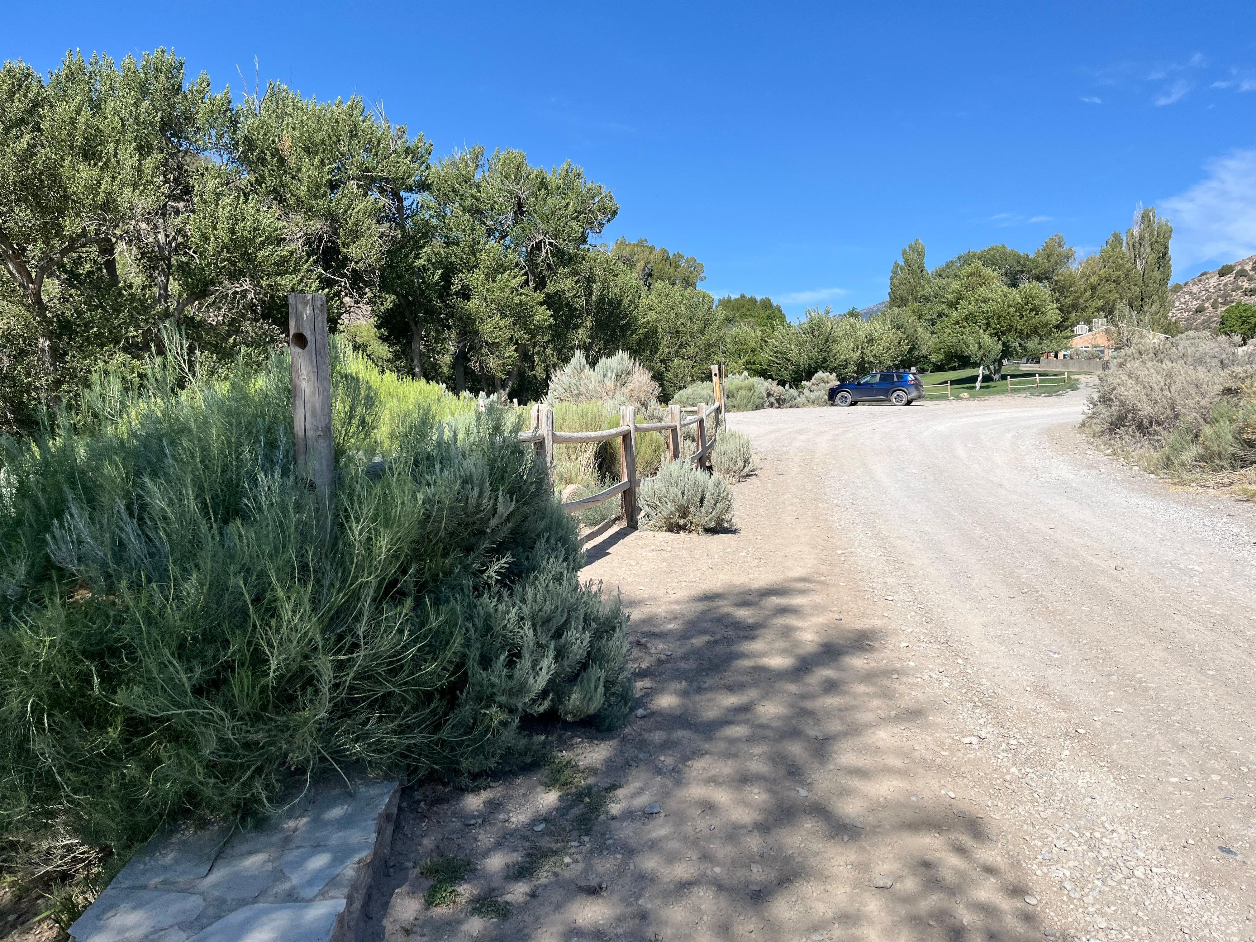 Road leading to the rooms