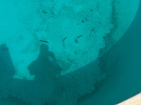 Dirty pool