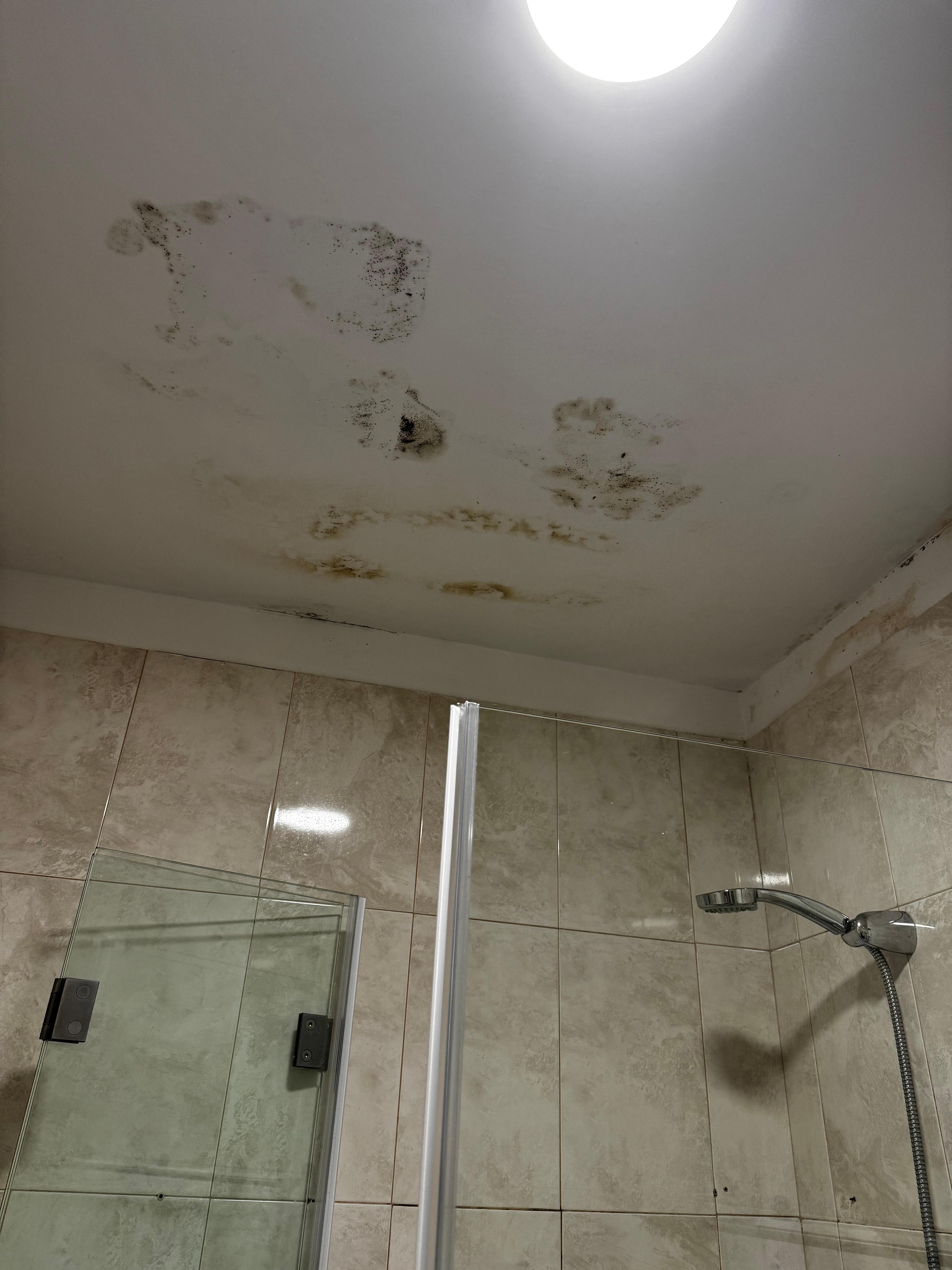 Mold on ceiling