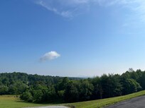 Morning view