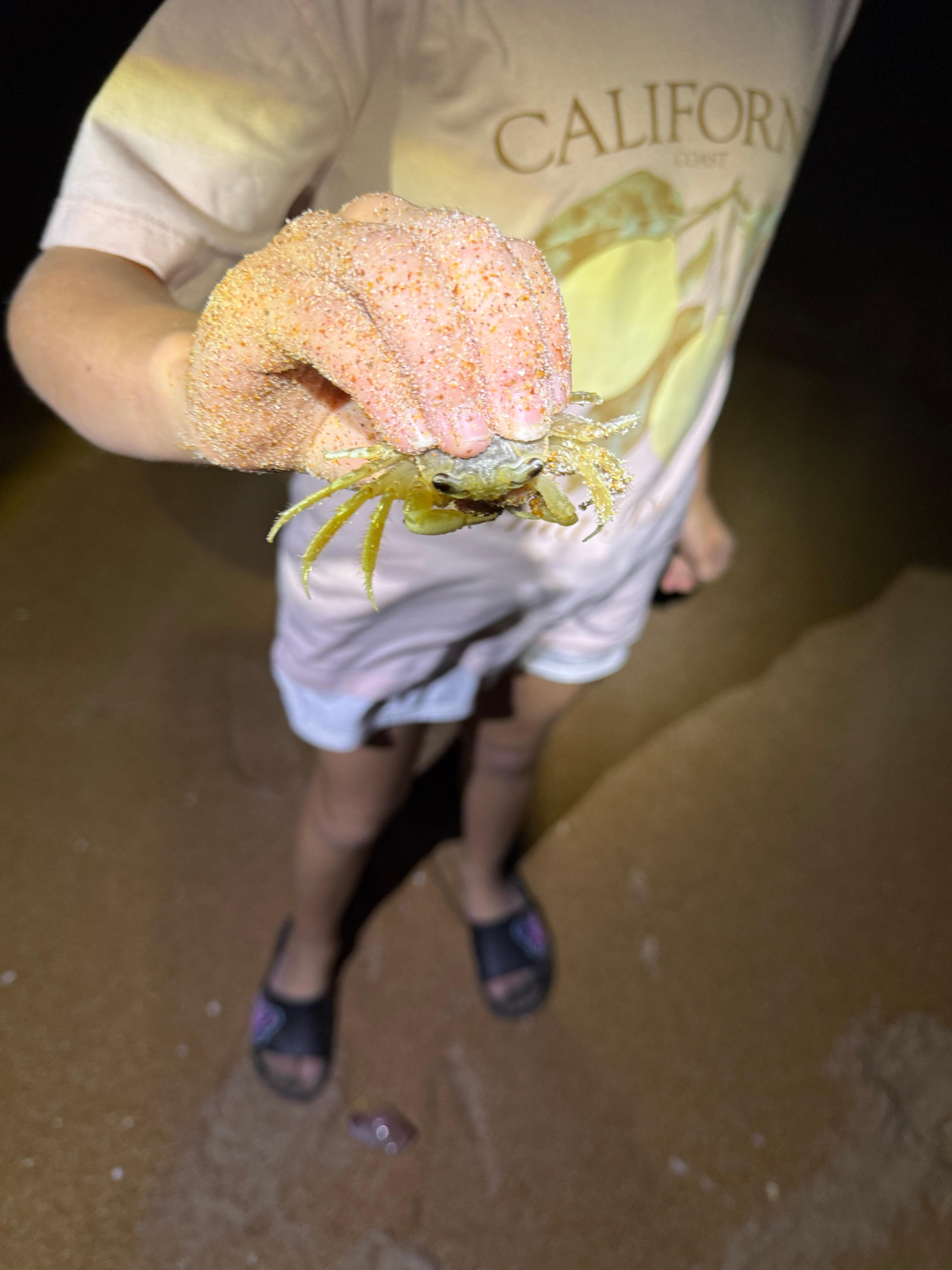 Night time crab hunting. 