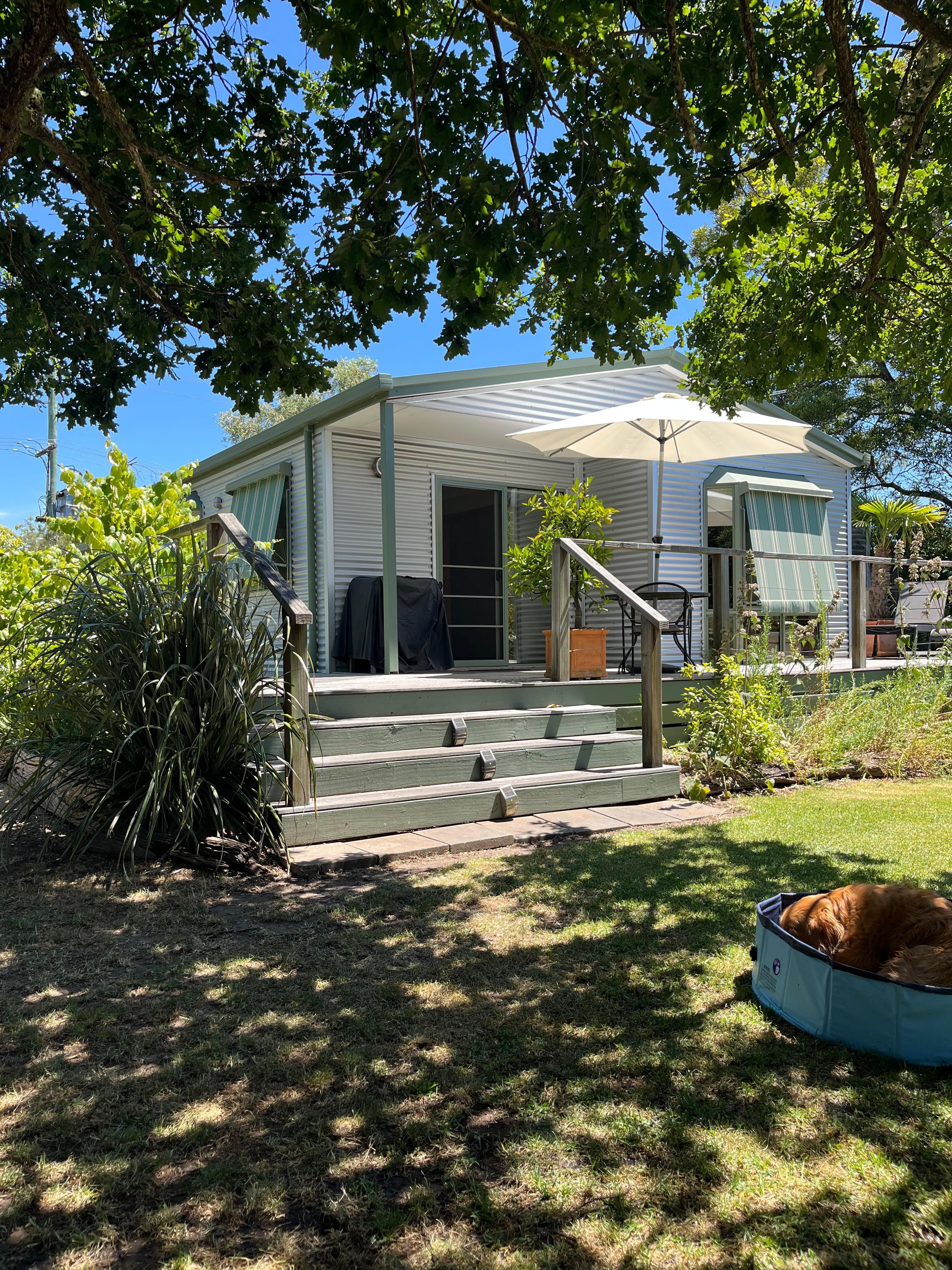 Sitting in the back yard on a very hot day under the stunning big tree