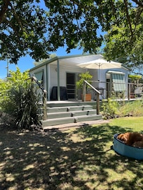 Sitting in the back yard on a very hot day under the stunning big tree