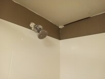 The purpose of the tissue?