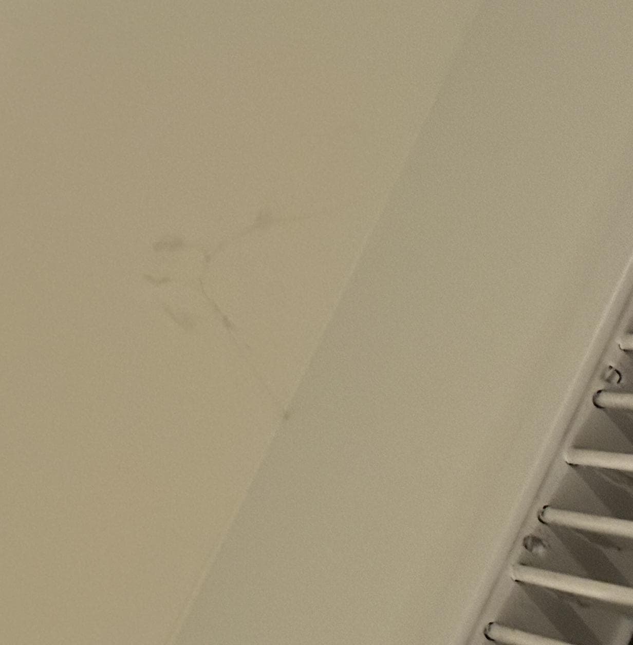 SPIDER WEBS LITERALLY EVERYWHERE