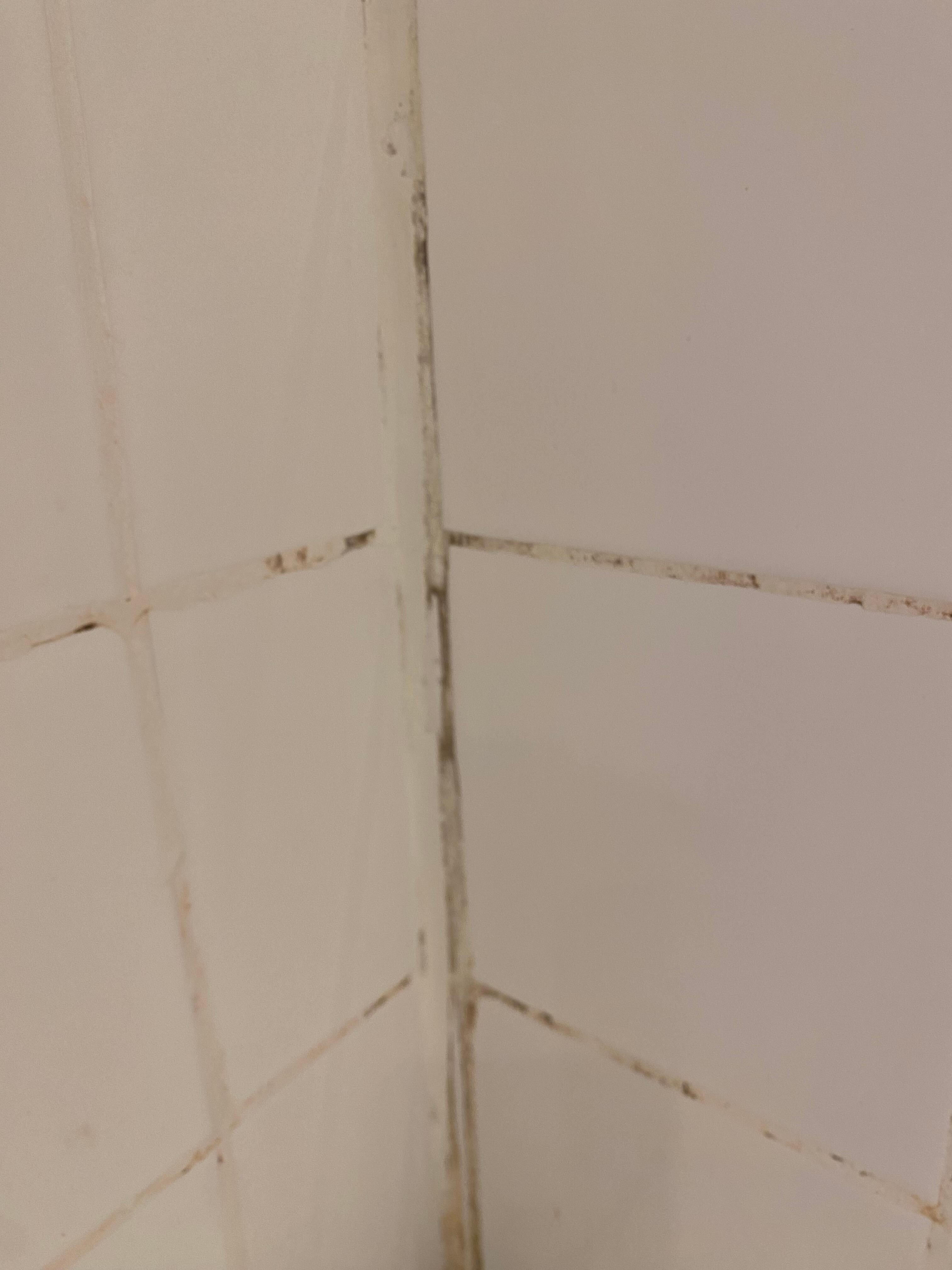it was not just the grout it was the tiles themselves