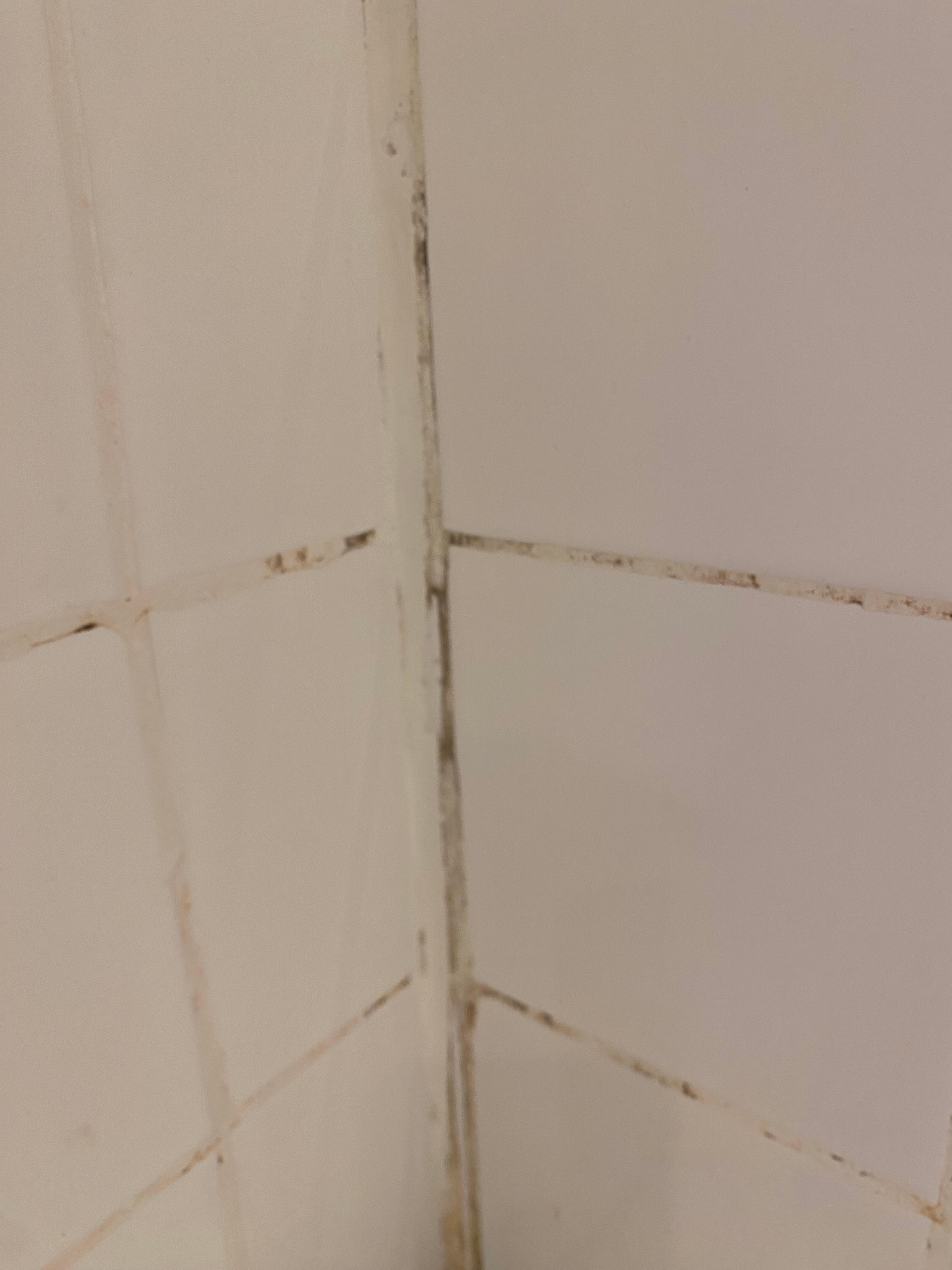 it was not just the grout it was the tiles themselves