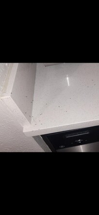 This is what we woke up to ants