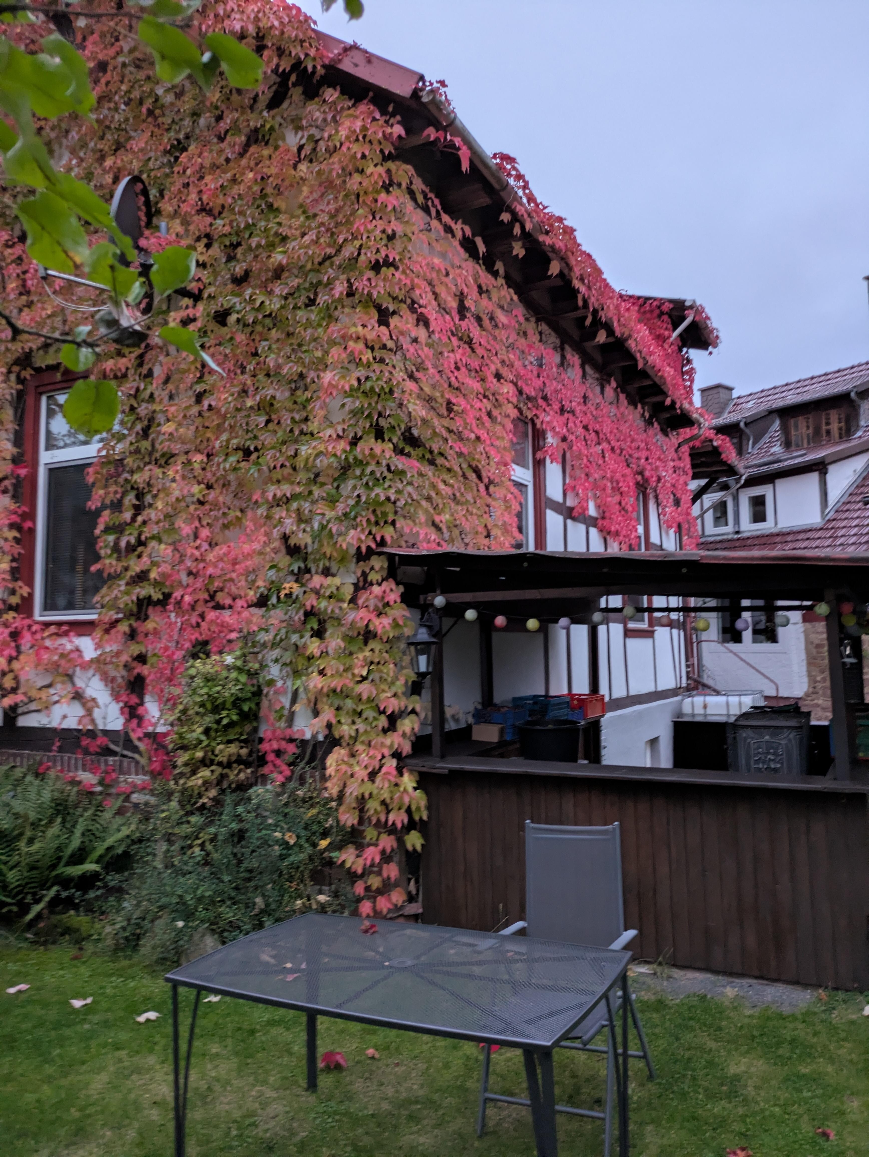 Schöner großer Garten mit Grill