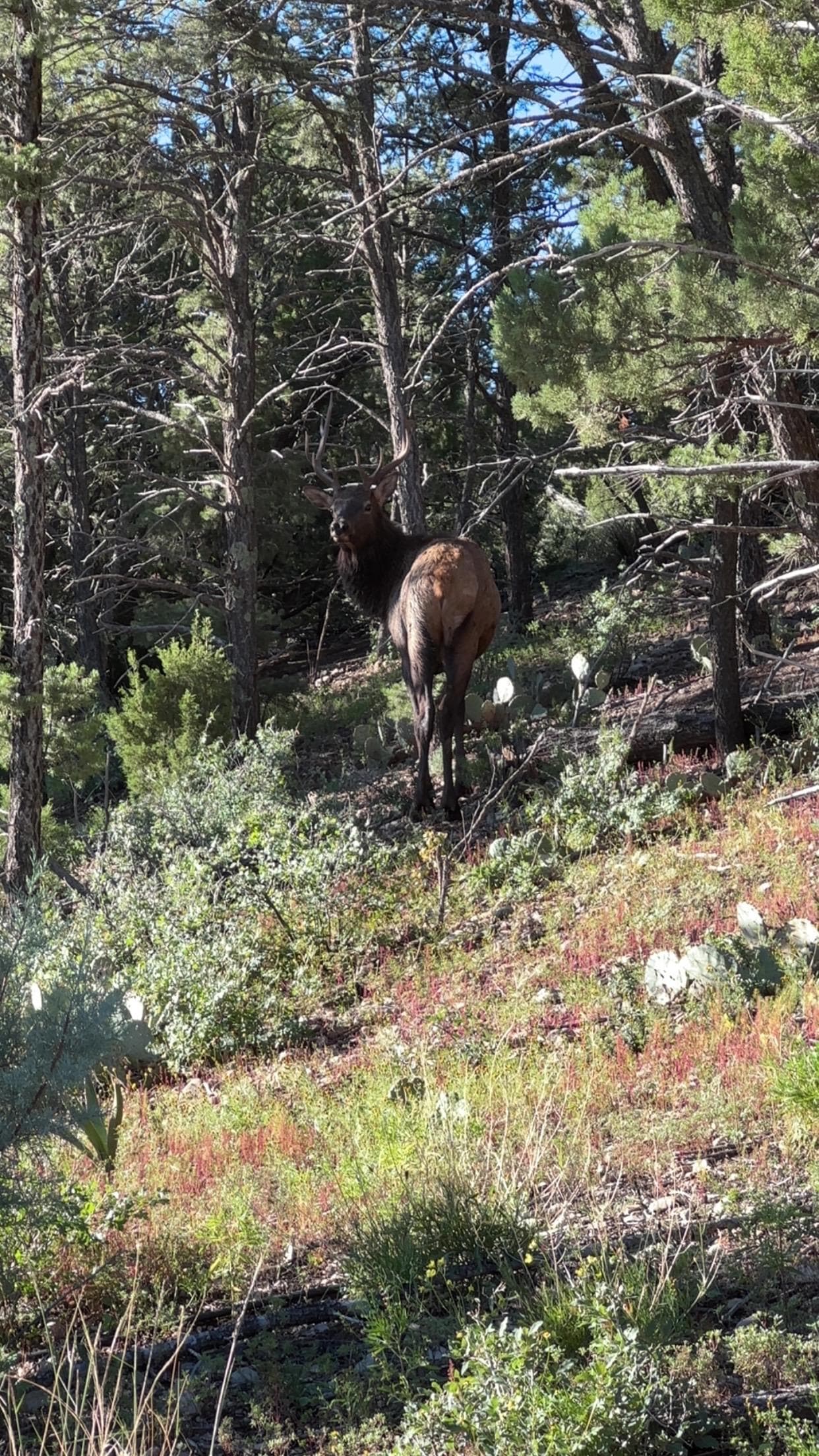Saw this on our way put! Just outside the gate!