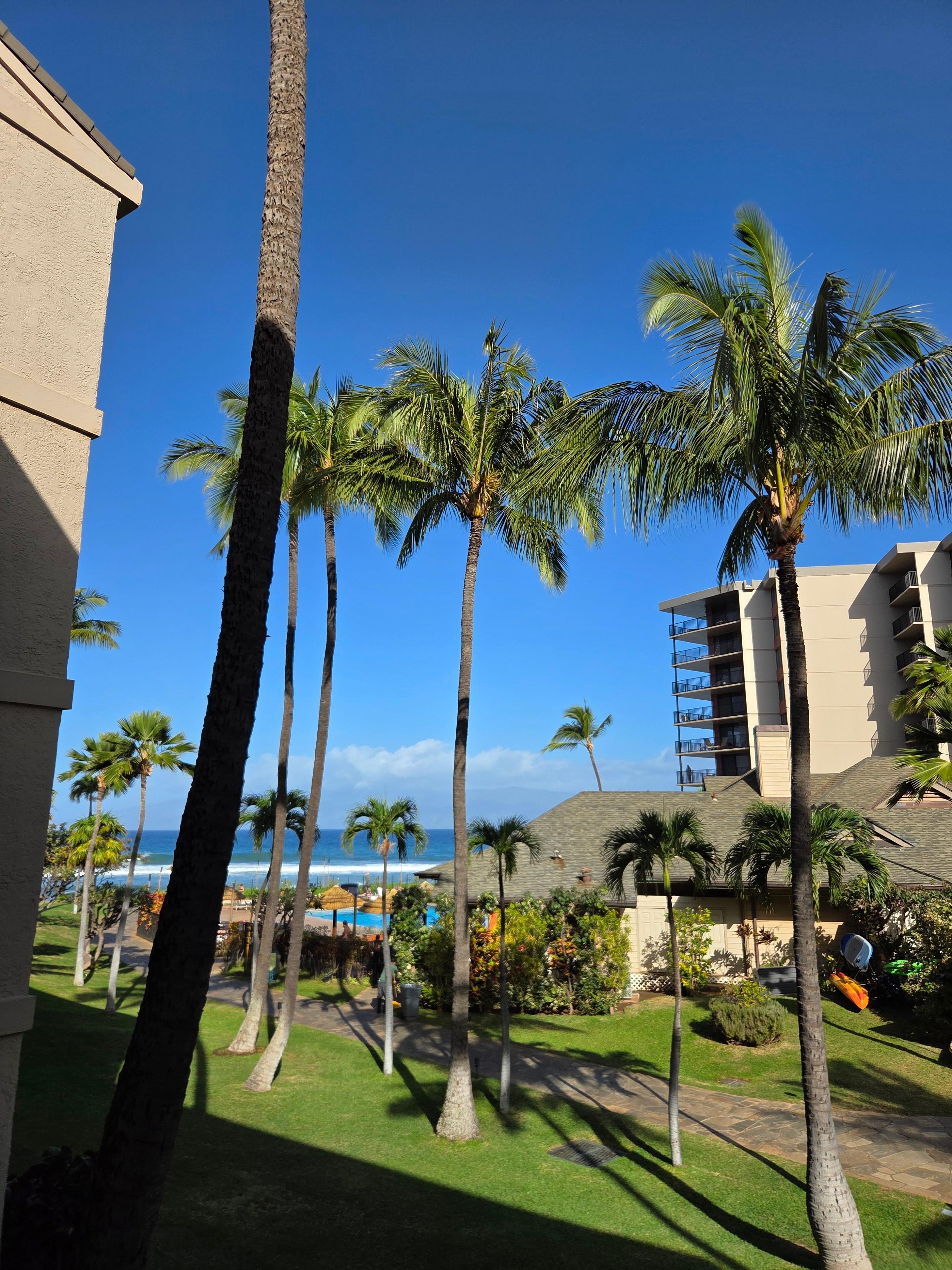 View from the patio.