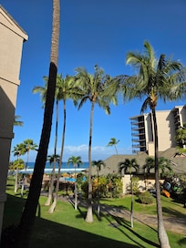 View from the patio.