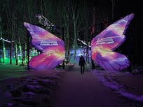 Nearby forest of light exhibit