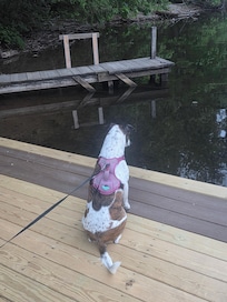 Our baby watching the water.