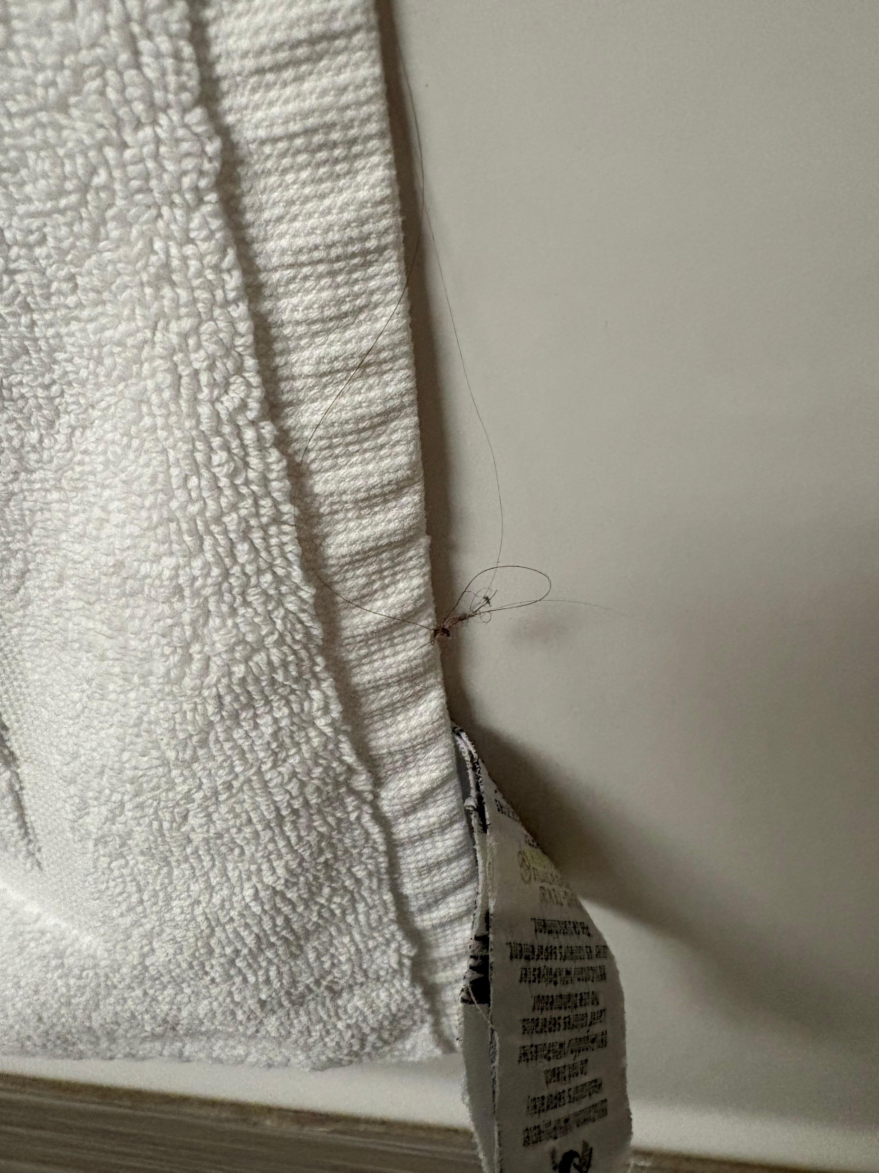 Hair on towels that’s not ours 