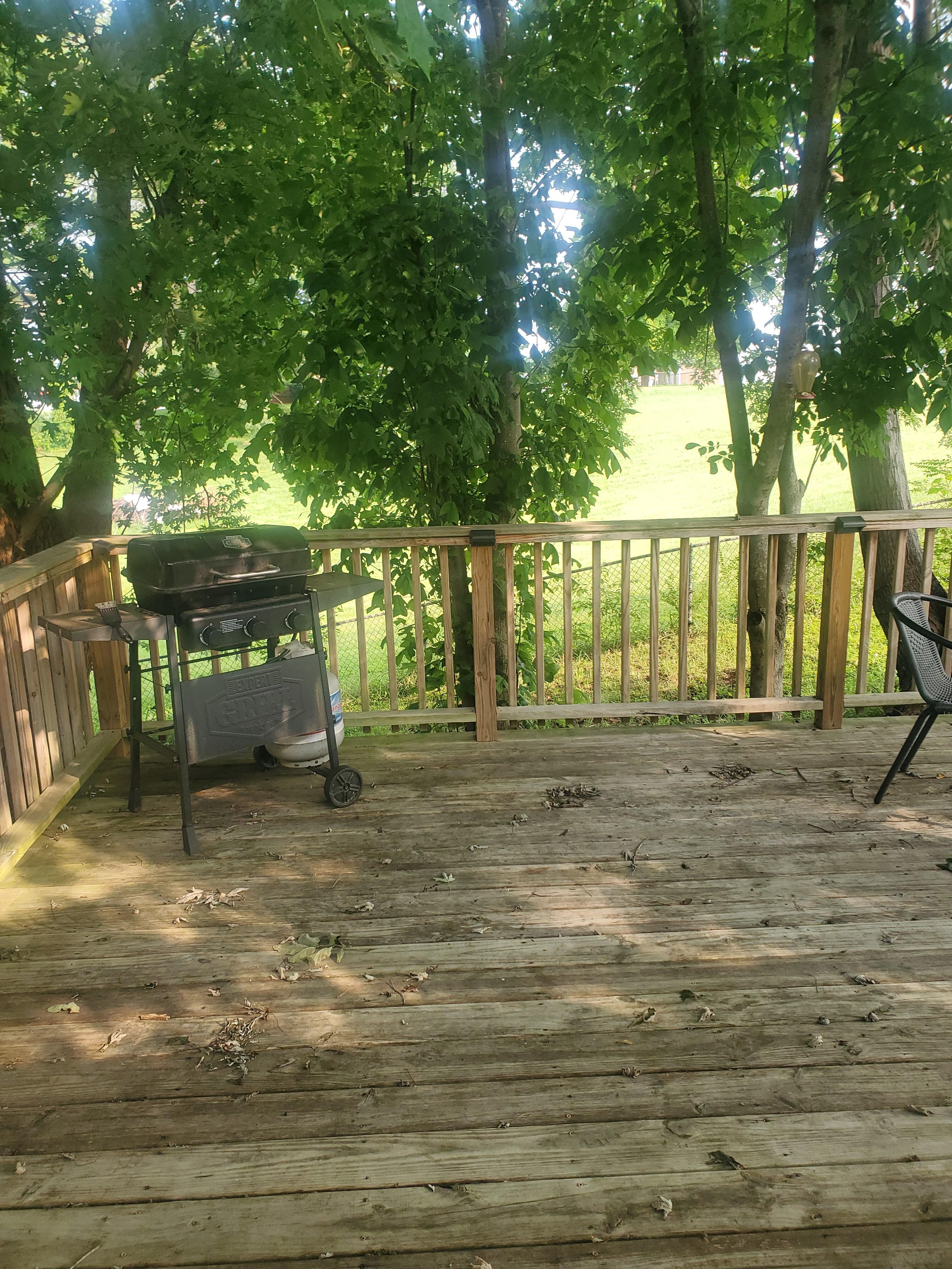 Back patio