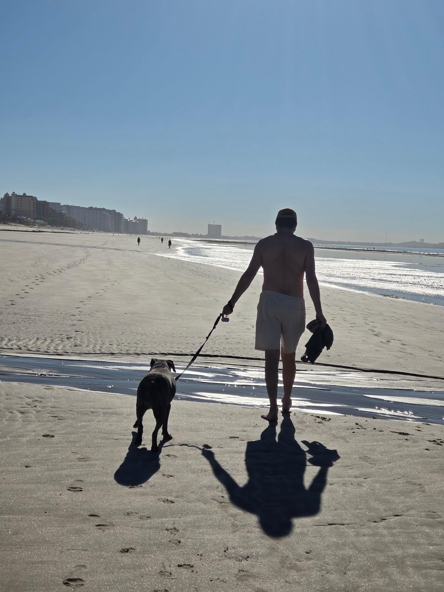 Morning walks on Sandy Beach