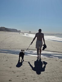 Morning walks on Sandy Beach