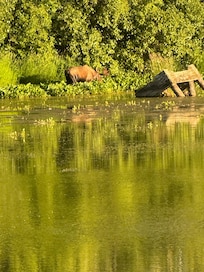 About 1/2 half mile easy walk to Lagoon and TK path