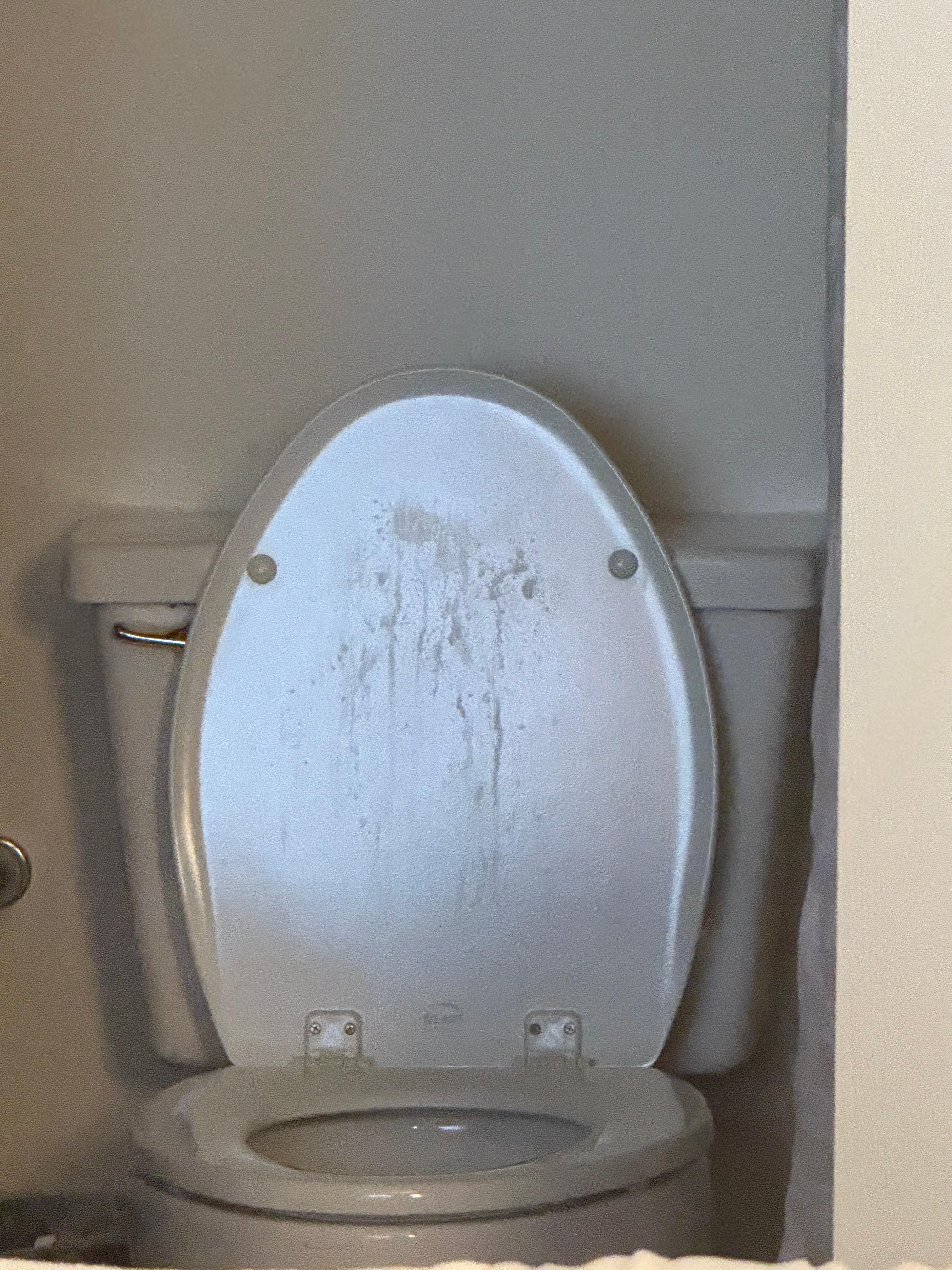 The condition of the toilet upon check in.