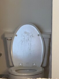 The condition of the toilet upon check in.