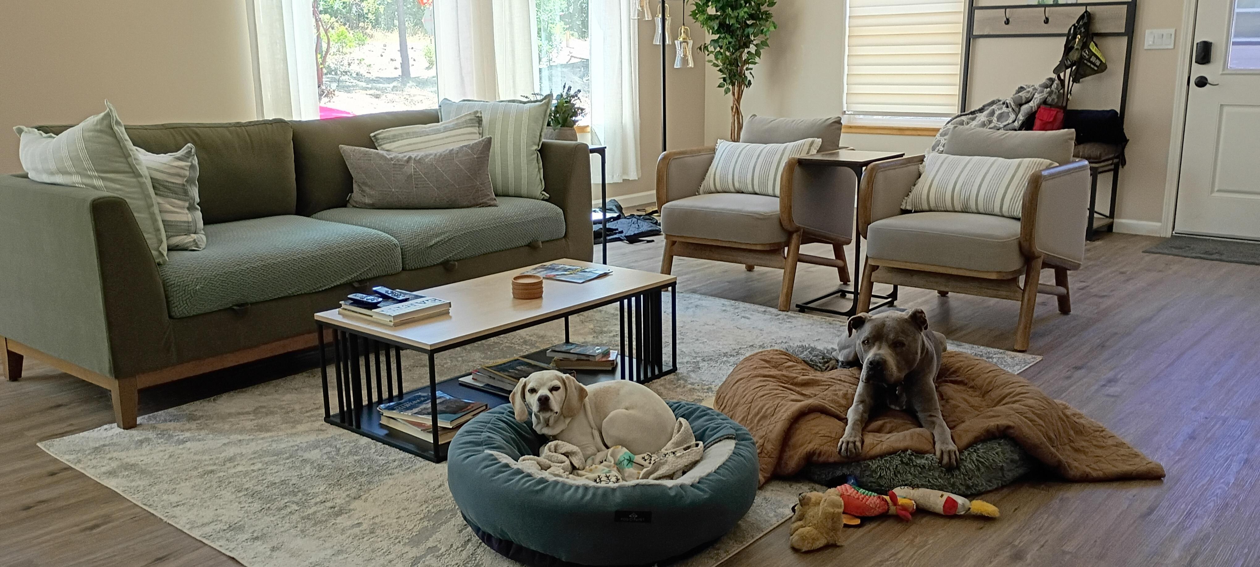 You can enjoy the place with your furry family members! That's a huge plus for people who travel with their love ones.