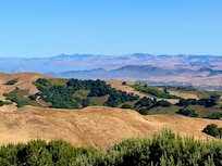 View from back porch