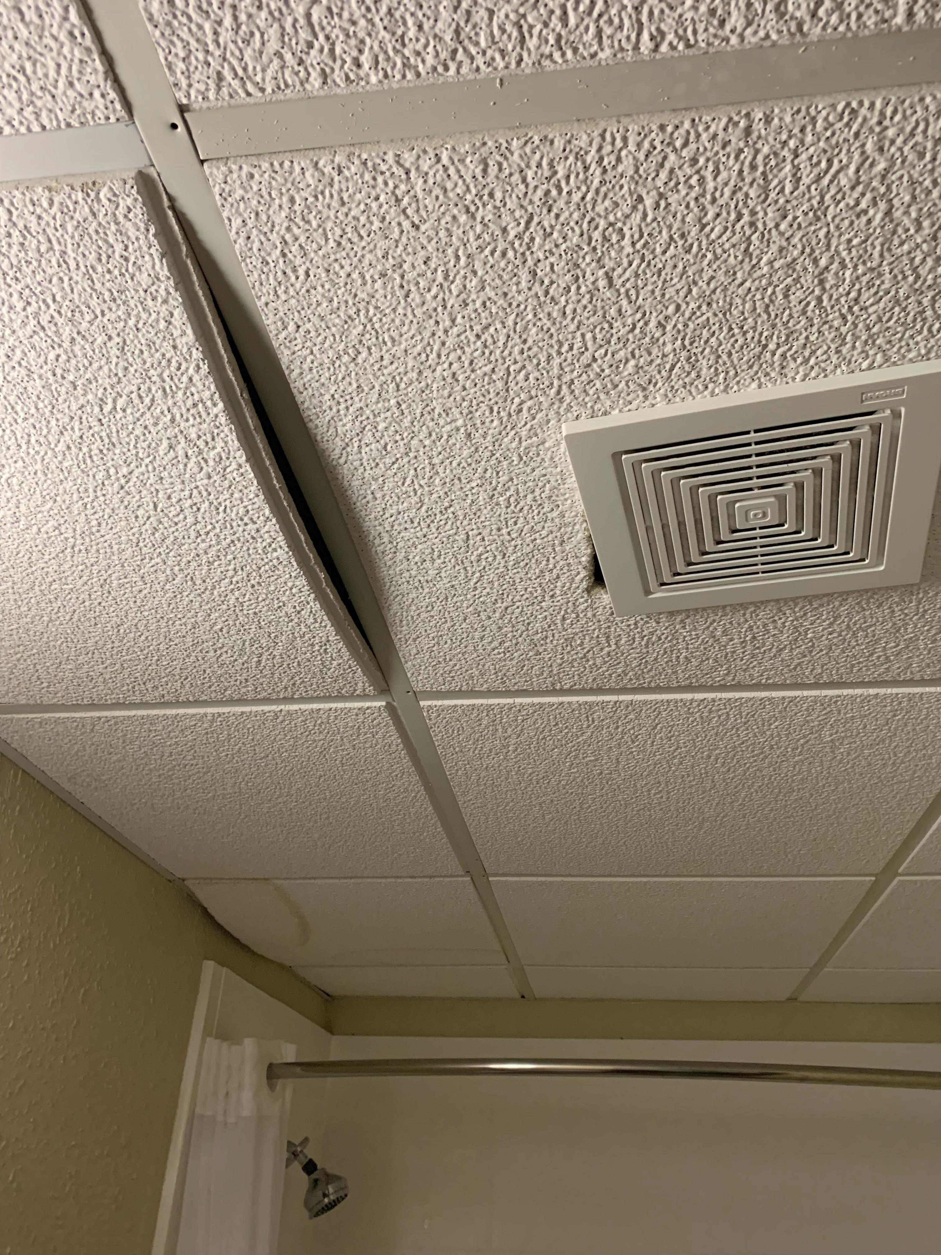 Ceiling tiles about to fall 