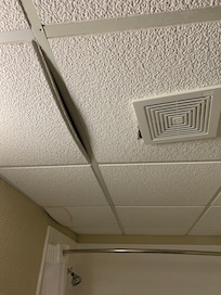 Ceiling tiles about to fall