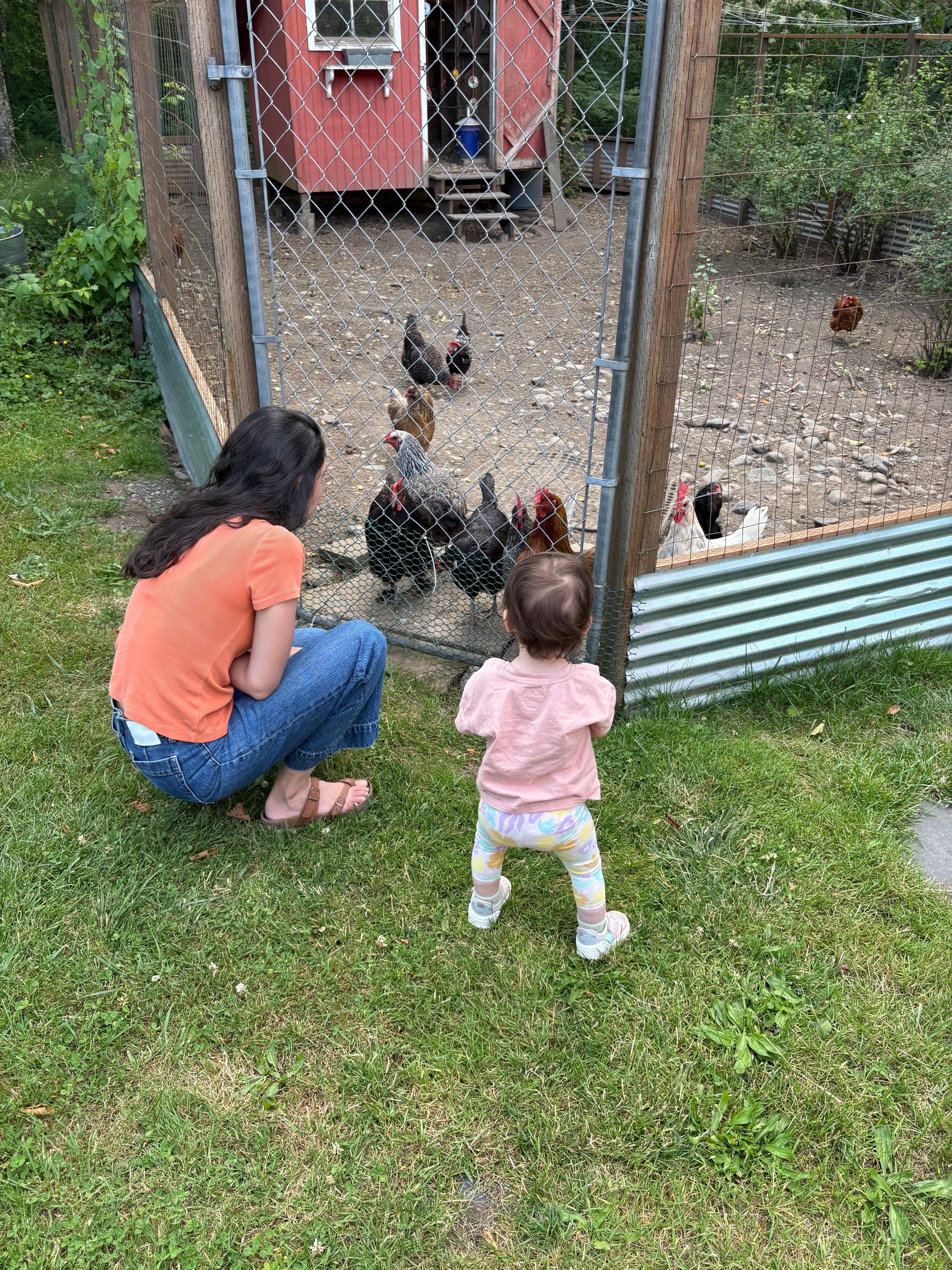 Our daughter was a big fan of the chickens coming out to say hello whenever we passed by.