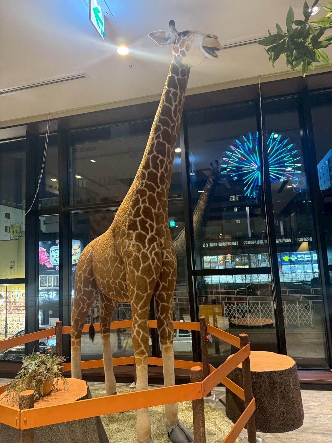とても大きなキリンのオブジェと観覧車のライトアップで旅行気分が味わえます！