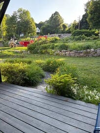 Back yard