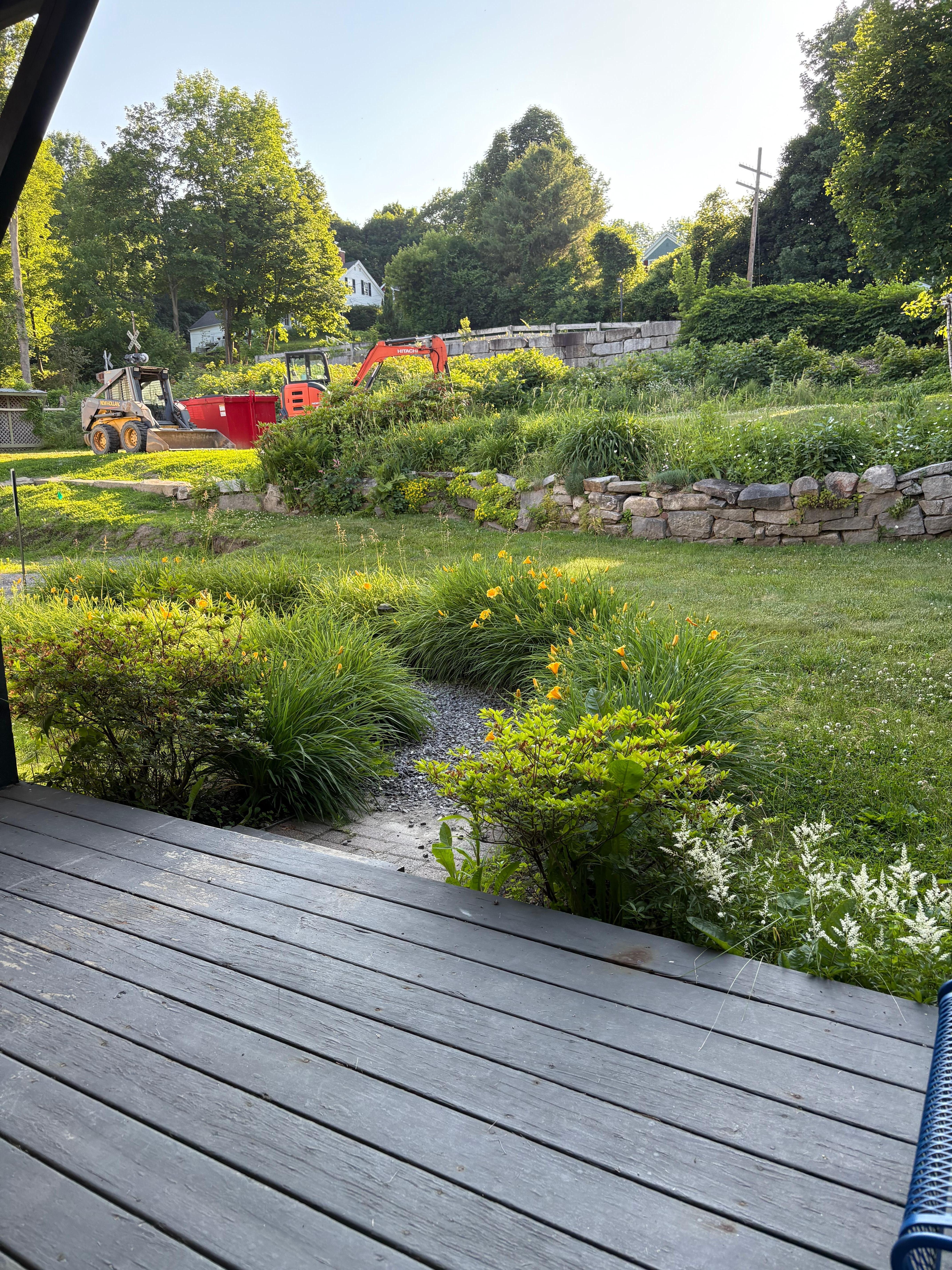 Back yard