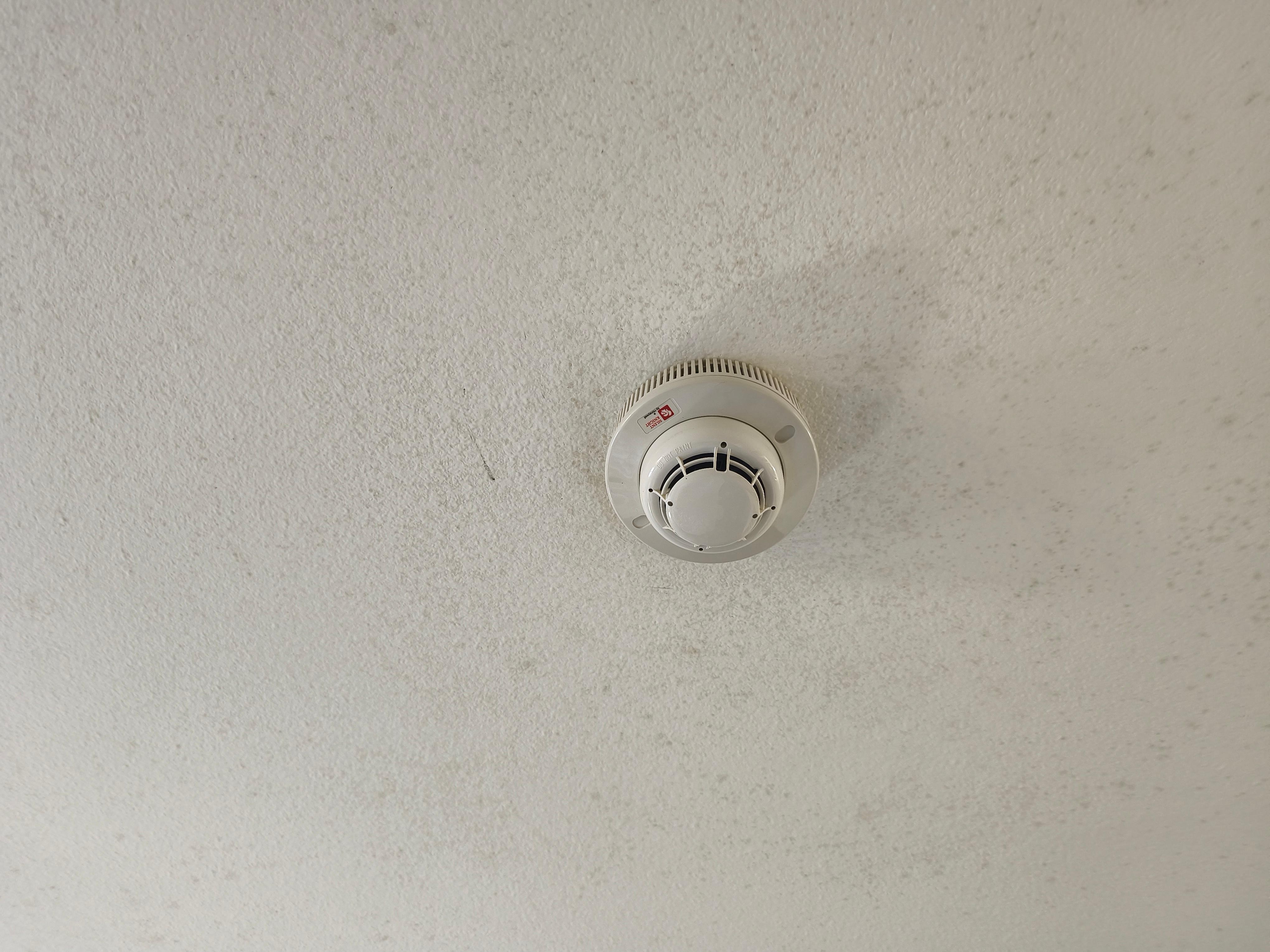 Mouldy ceiling