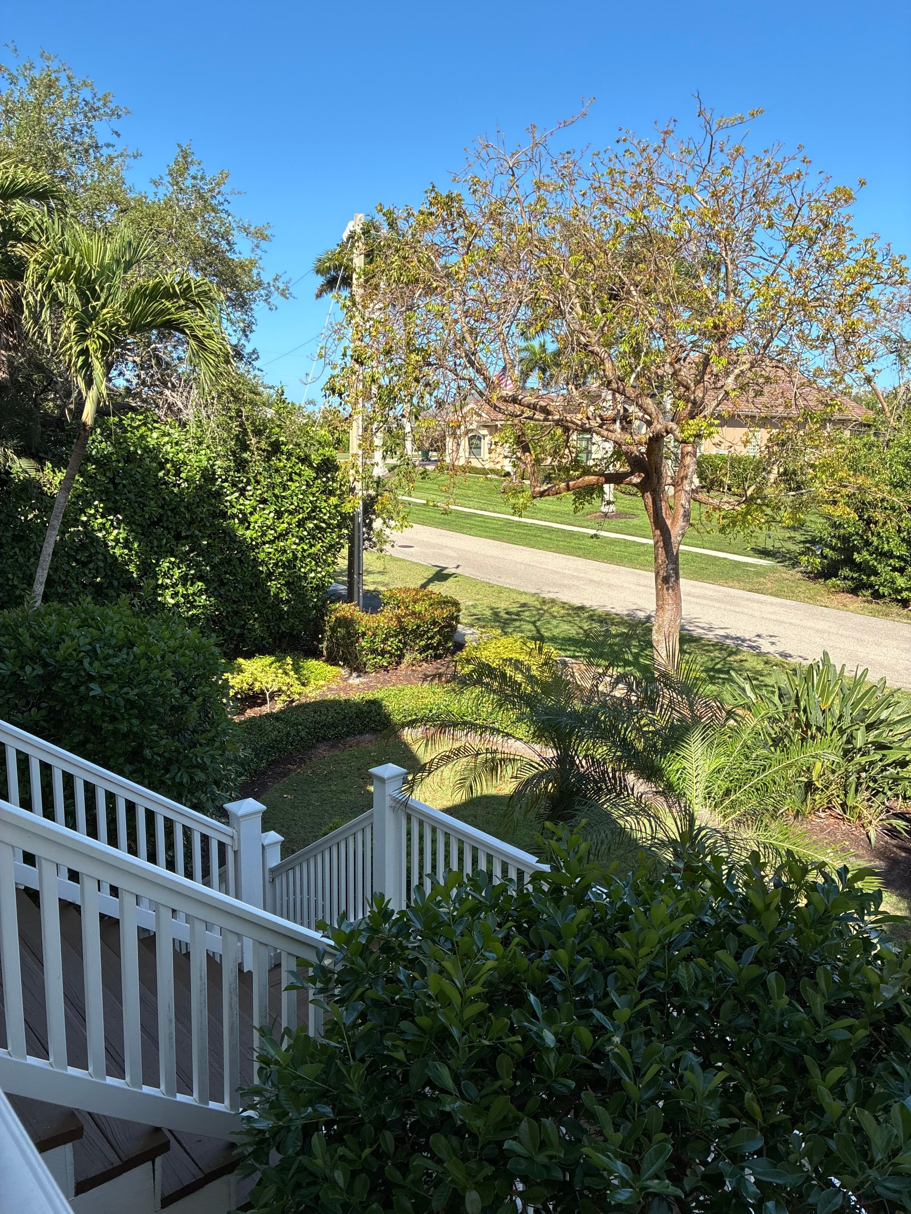 Front steps