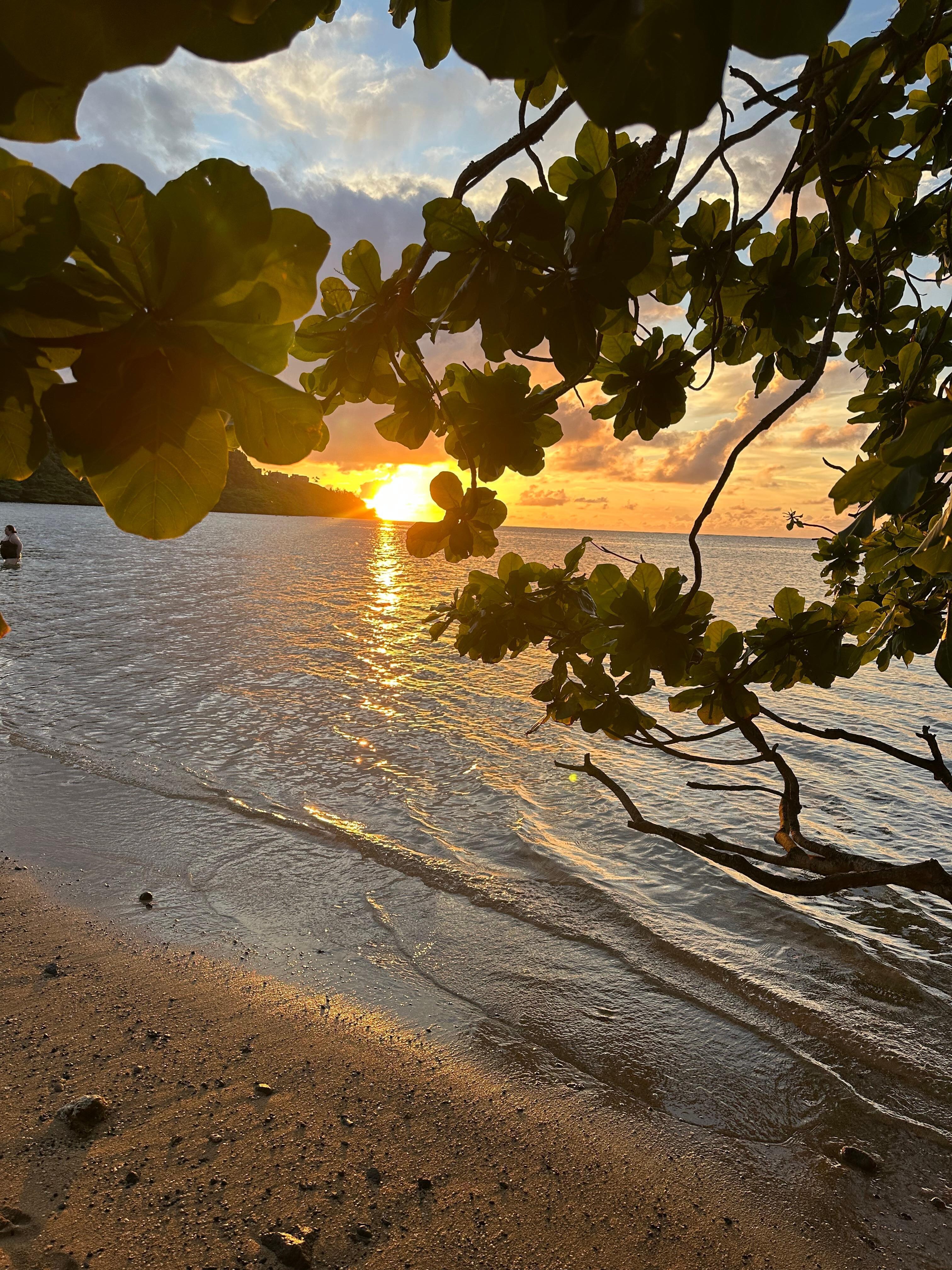 Local beach at sunset
