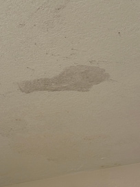 On the ceiling mold