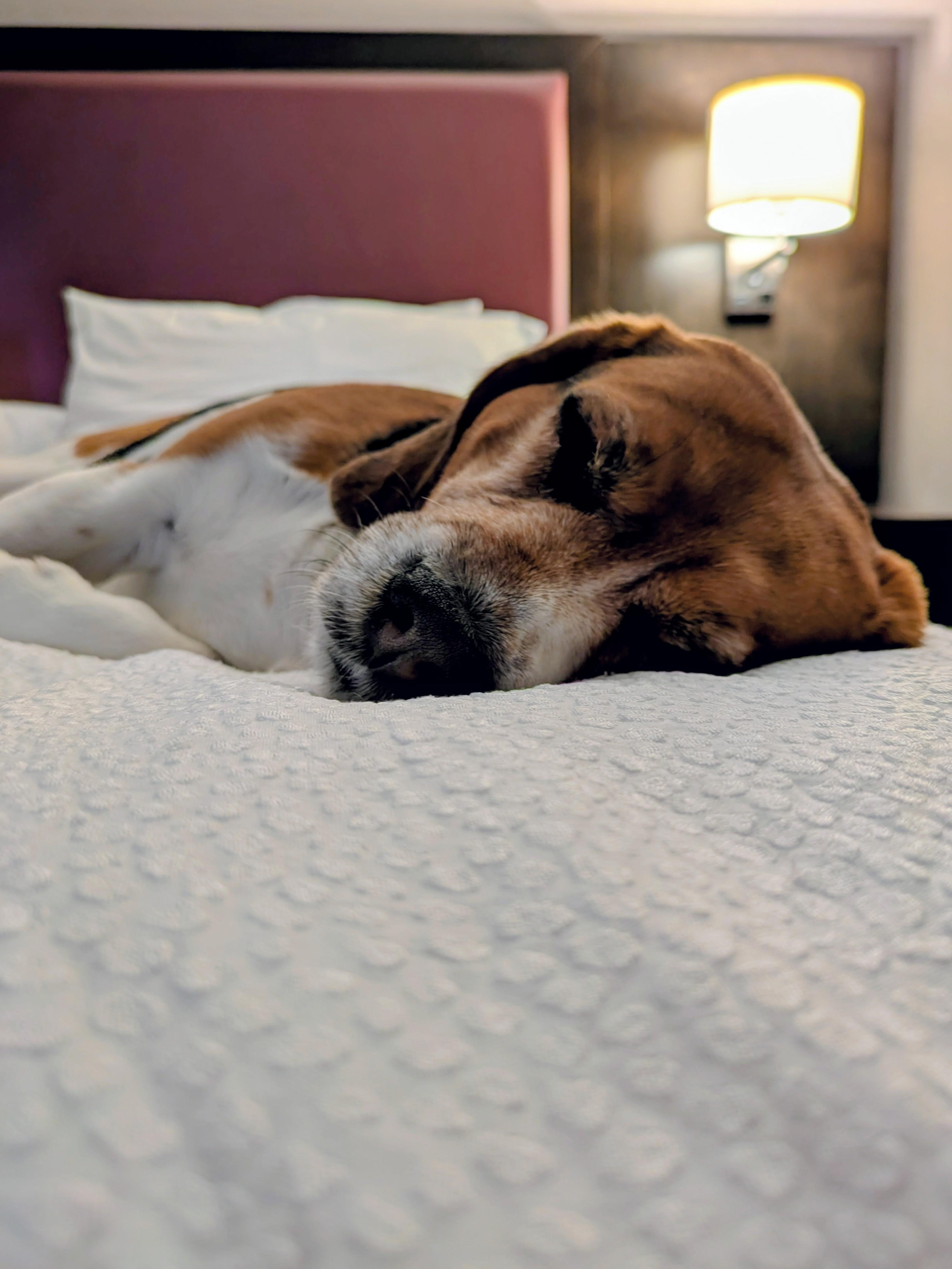 The most important member of the family gave her full approval of the accomodations!