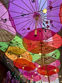 Standing at the front door of the apartment the restaurant next door put up these umbrellas.