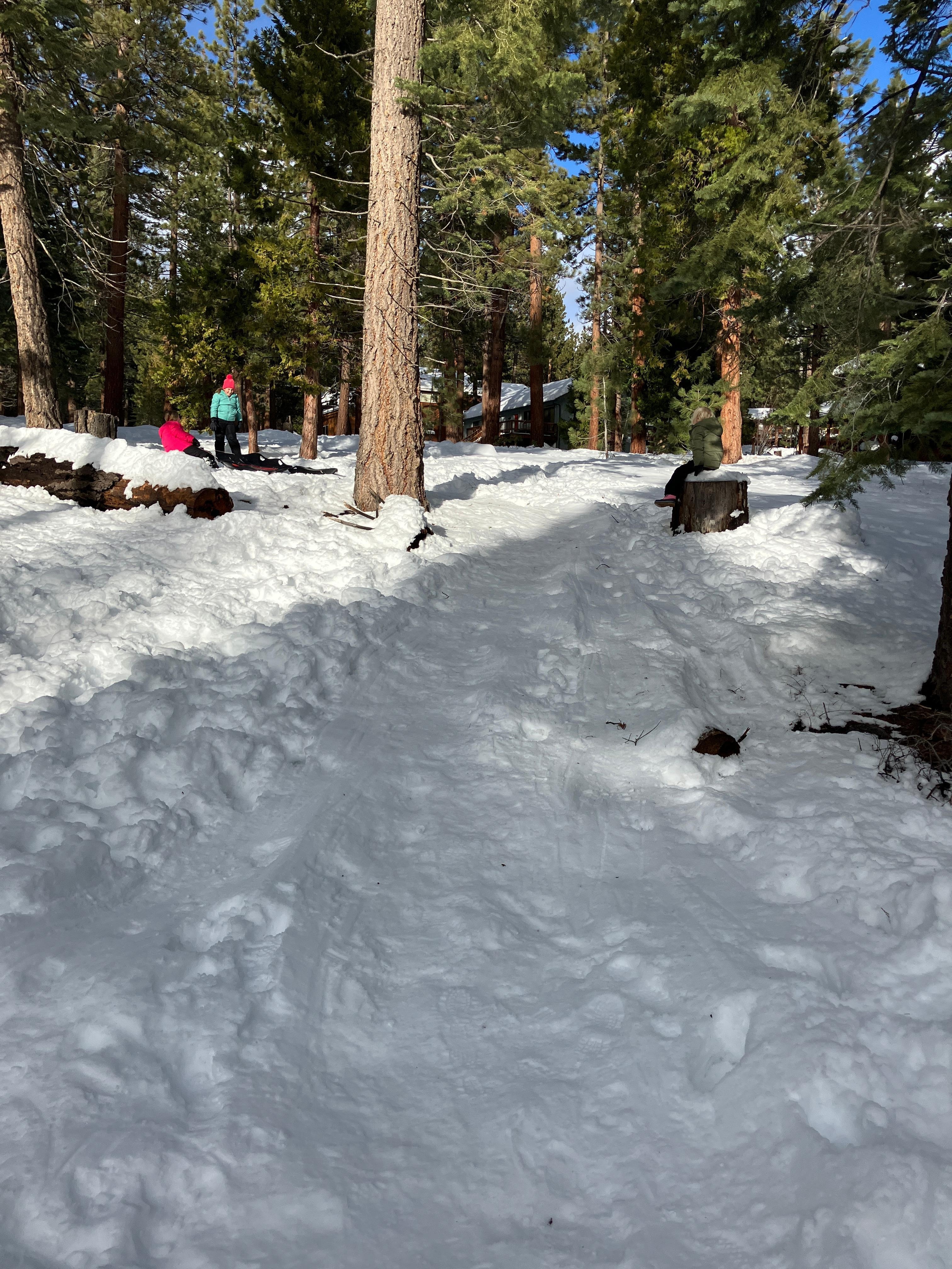 Luge Run in the backyard 