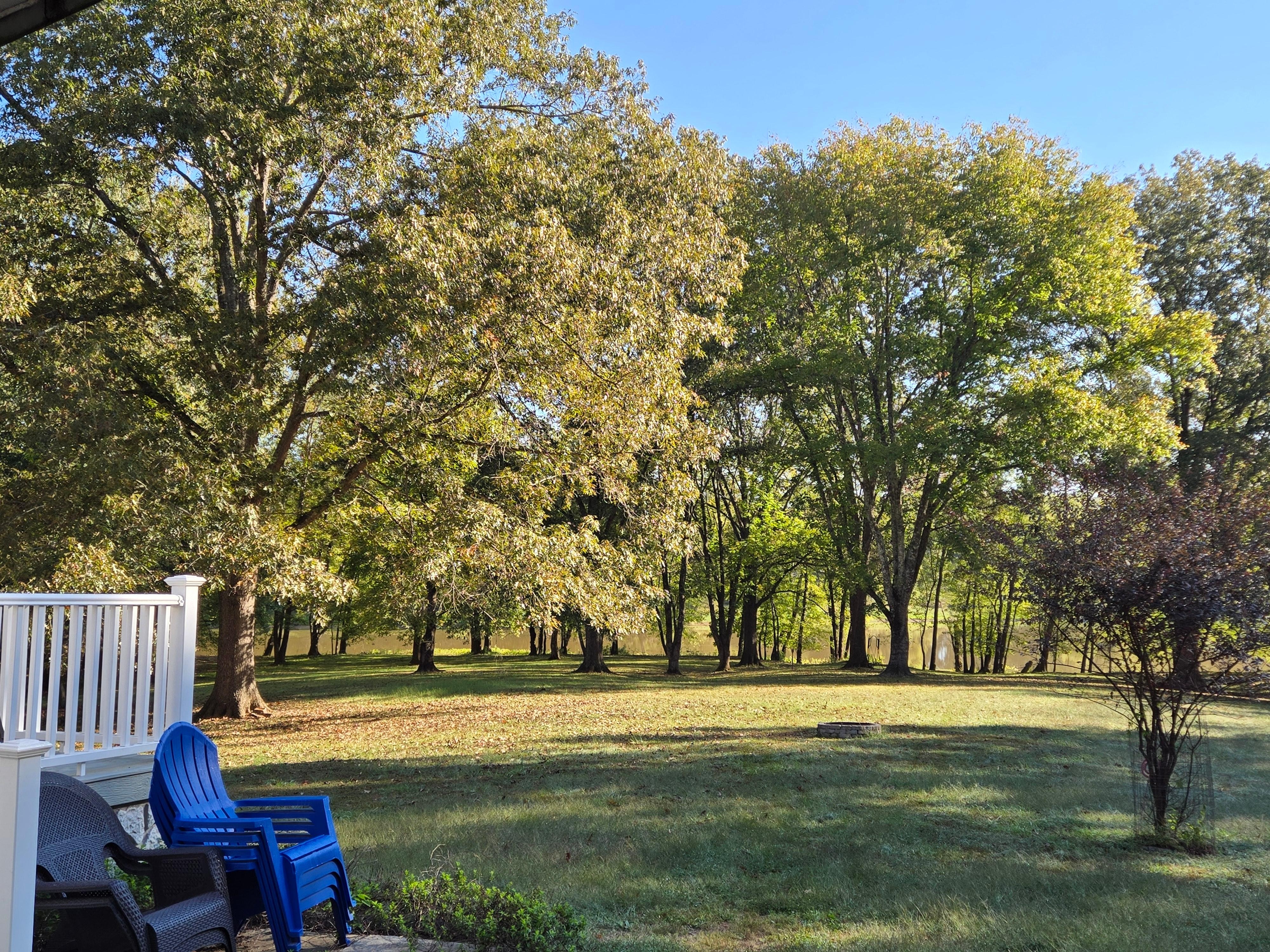 Back yard to the water