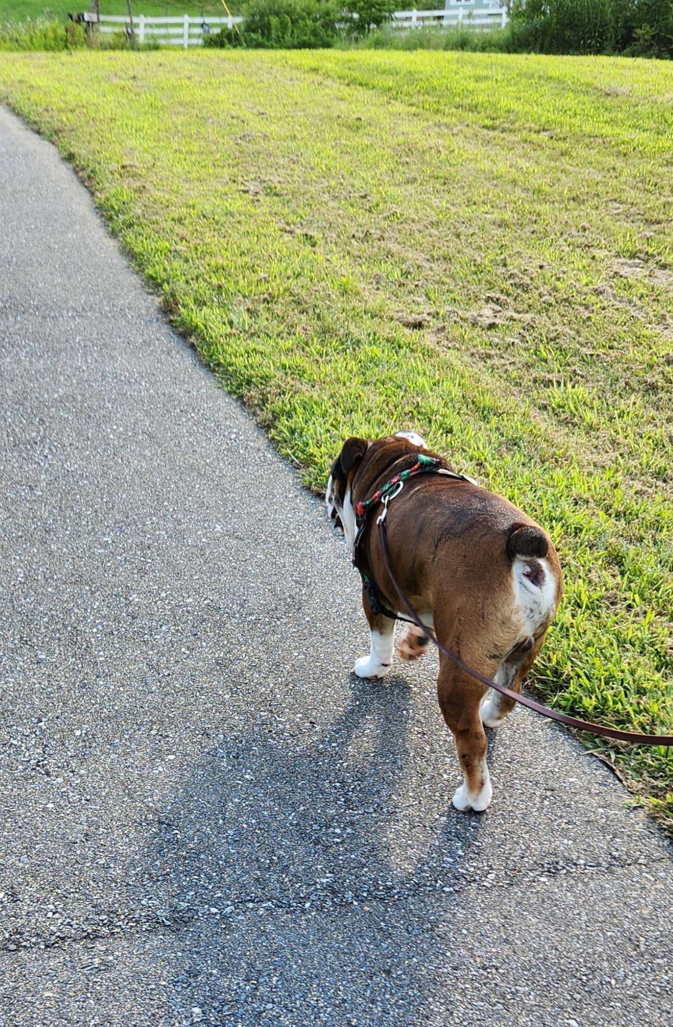 Walking at the park. 