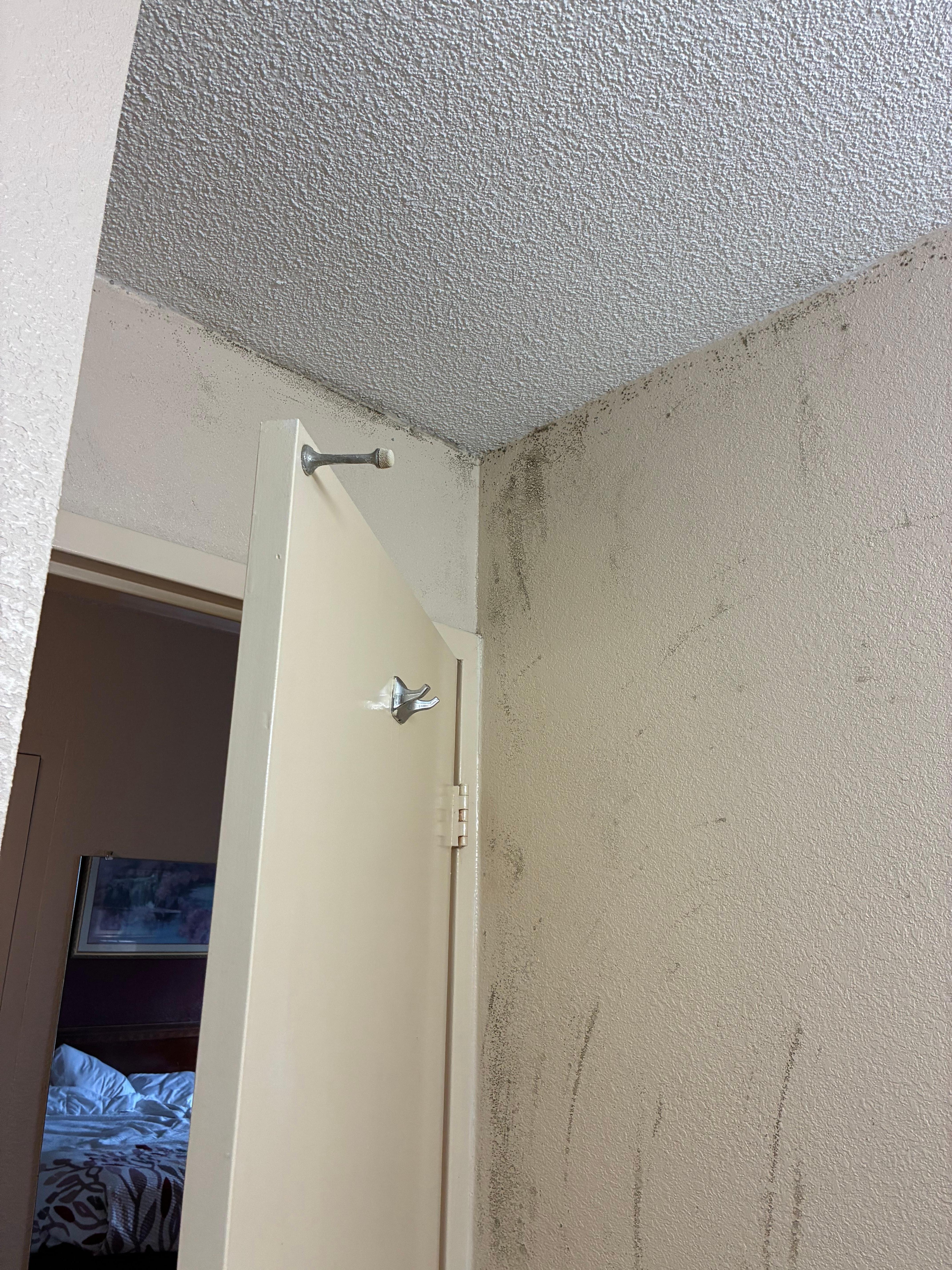 Mold and mildew on the bathroom walls 