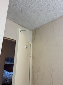 Mold and mildew on the bathroom walls