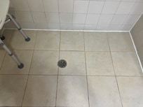 Mold in dirty shower