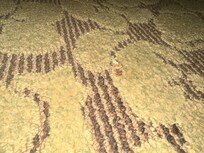 Found on floor right under bed